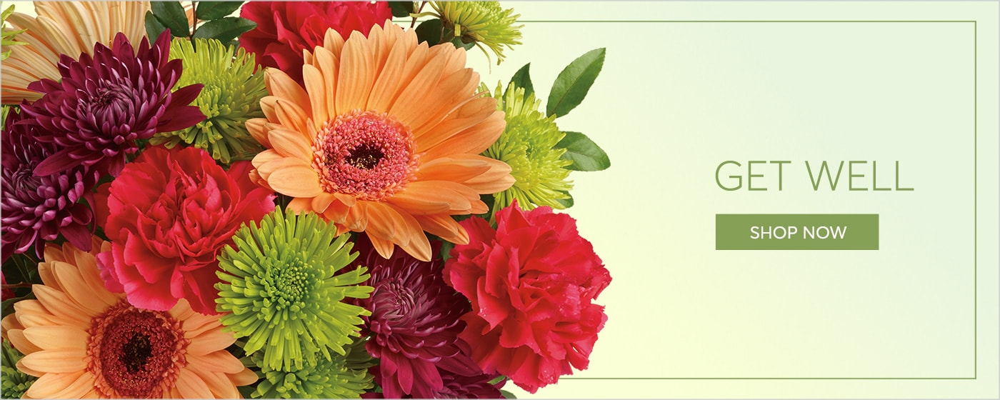 Newton Florist - Flower Delivery by Blooms of Elegance