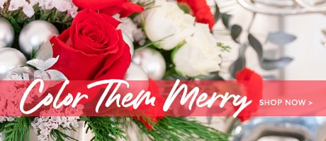 Christmas Flowers Delivery - Send Christmas Flowers