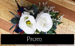 Prom & Grad