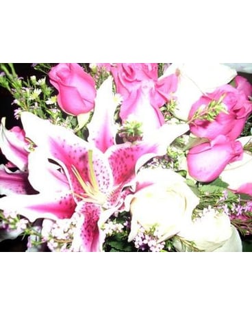Stargazer Bridal