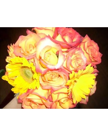 Sunset Bridal