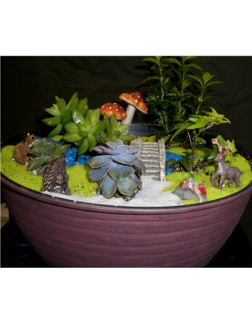 Woodland Wonder Fairy Garden