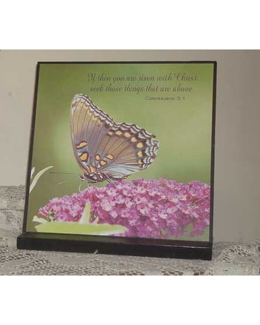 Butterfly plaque