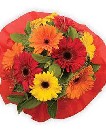 Bright Mix Gerbera Daisy Bouquet