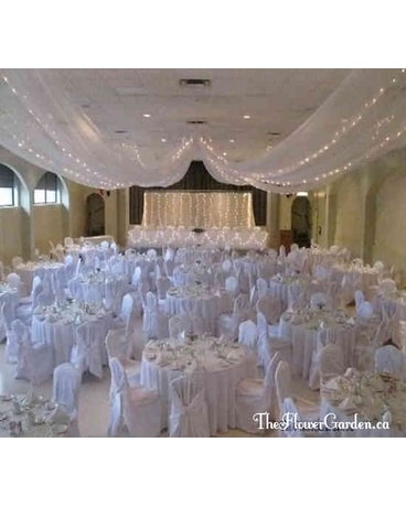 Ceiling Canopy