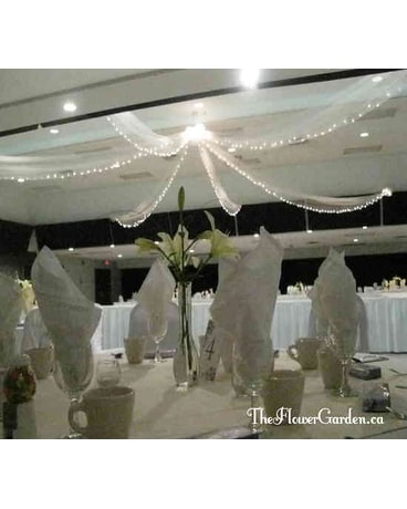 Ceiling Canopy