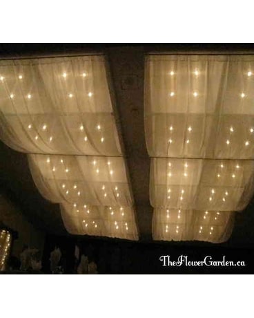 Ceiling Canopy