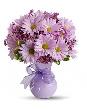 Daisy About You