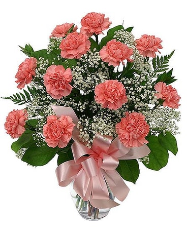 12 Carnations