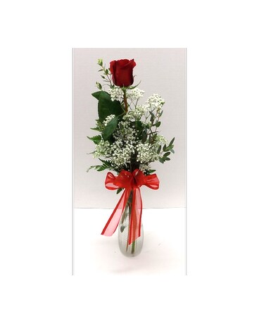Single Rose