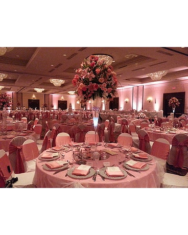 WED-115 - Zeitler Wedding