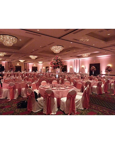 WED-116 - Zeitler Wedding