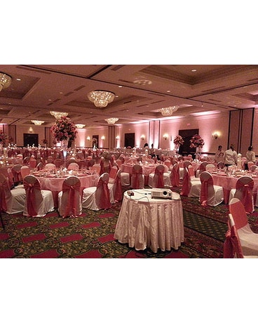 WED-118 - Zeitler Wedding