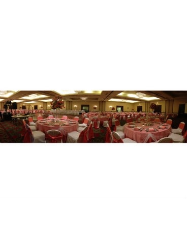 WED-151 - Zeitler Wedding