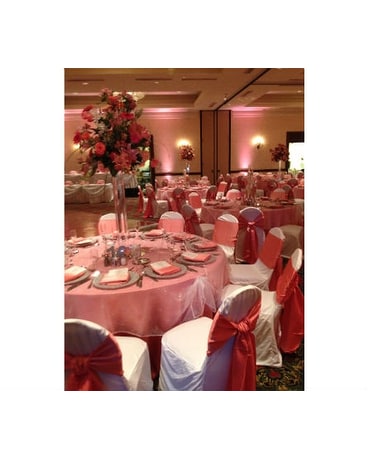 WED-153 - Zeitler Wedding