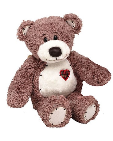 healing hugs Tender Teddy