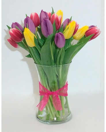 Spring Tulips