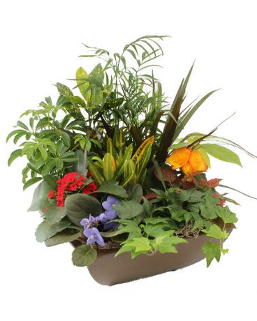 Garden Retreat Planter in Ceramic