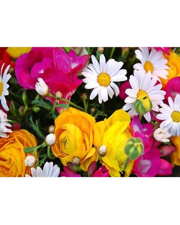 Loose wrapped Bouquet