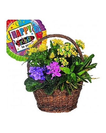 Basket with Balloon