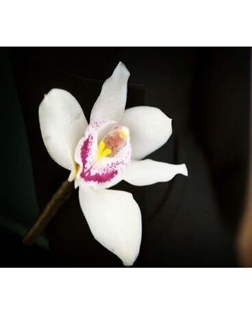 Orchid Boutonniere