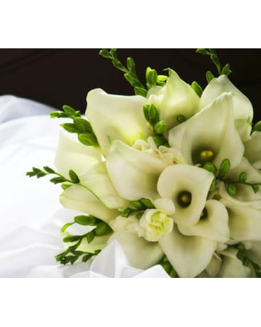 White Calla Lilies