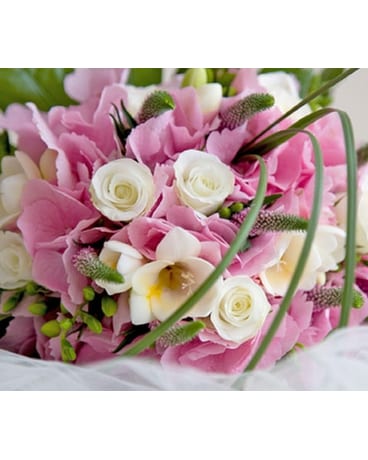 Whites and Pinks