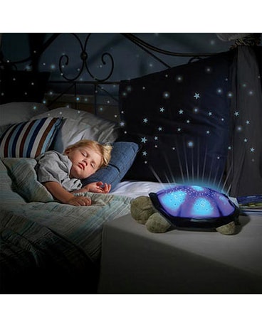 Twilight Turtle - A Cloud B Product