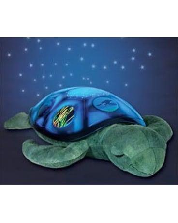 Twilight Sea Turtle