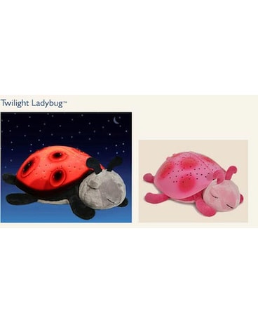 Twilight Pink Ladybug - A Cloud B Product