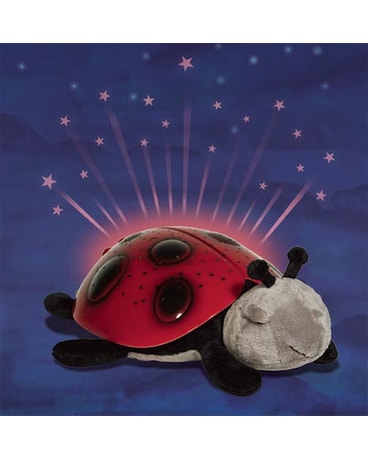 Twilight Ladybug - A Cloud B Product