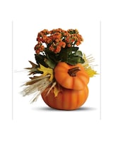 Ceramic Pumpkin with Blooming Plant size,  inches height and  inches wide.