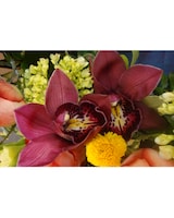 Gift Card size,  inches height and  inches wide.
