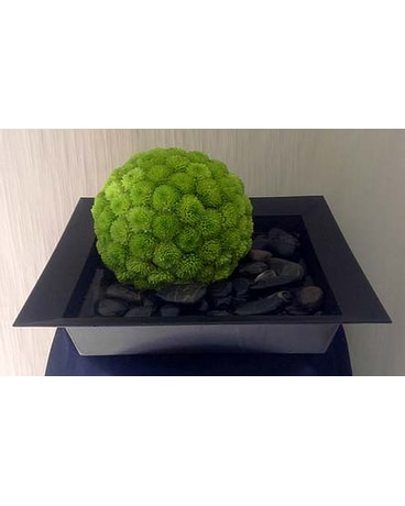 Custom Creation 28