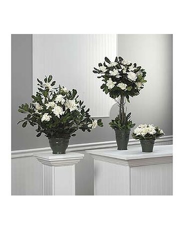 Ceremony Flowers