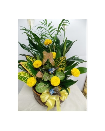 Large Dish Garden Flower Arrangement