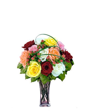 12 Mixed Designer Long Stem Roses