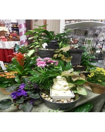 fountain planters