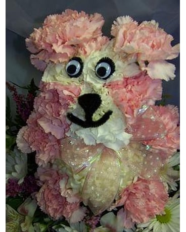 Beary Special