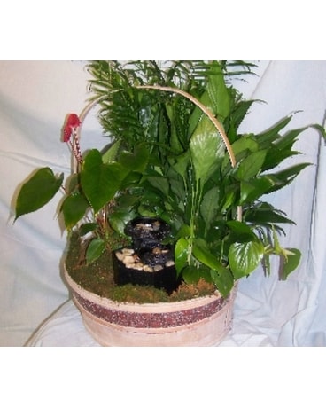 Fountain Dish Garden