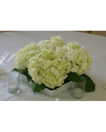 Hydrangea Centerpiece