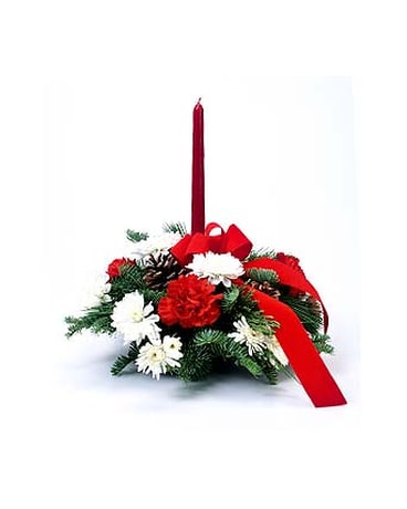 Holiday Wonder