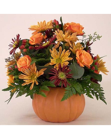 Pumpkin Harvest