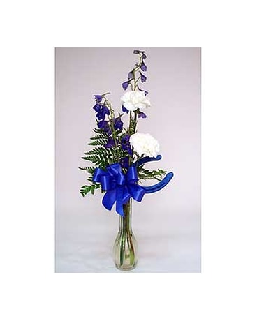 Touchdown Budvase