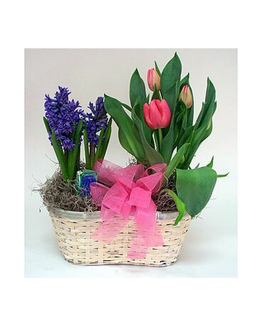 Happy Spring