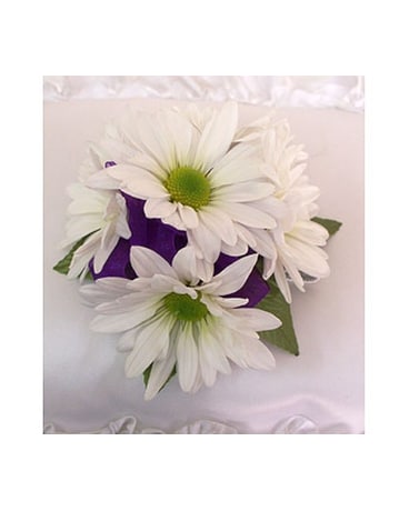 Daisy