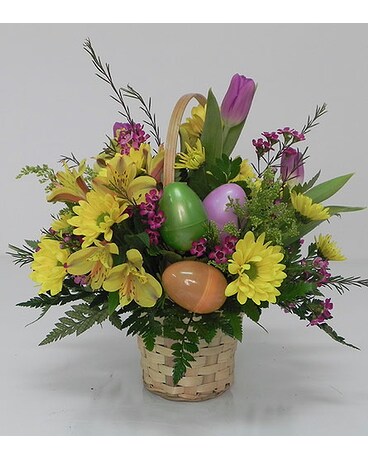 Spring is Sprung