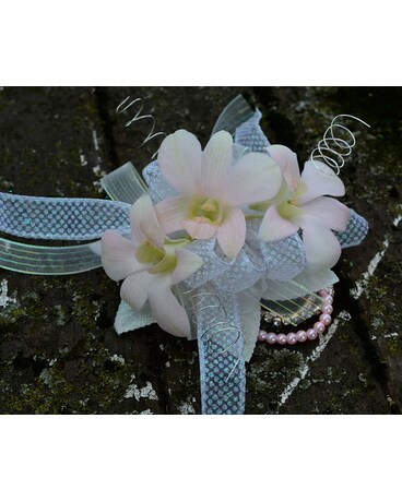 Ballerina Orchids