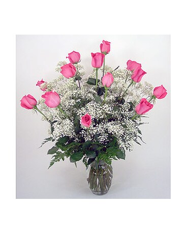 Standard Dozen Roses - Pink
