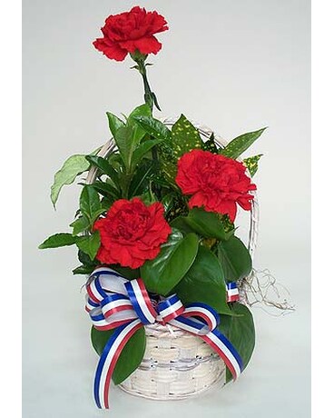 Broad Stripes Planter